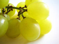 organic-grapes