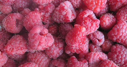 raspberries2