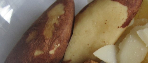 brazil-nuts