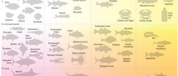 omega3-mercury