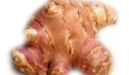 jerusalem-artichoke