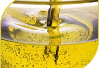 moringa-seed-oil