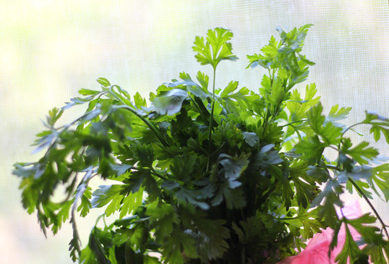 parsley