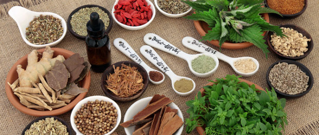 healing-herbs