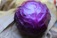 Purple Cabbage 