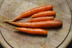 Carrots on a wooden board