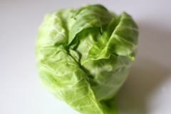 cabbage organic