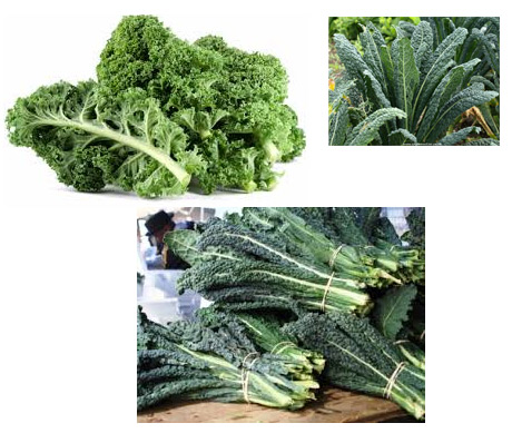 various types of kale