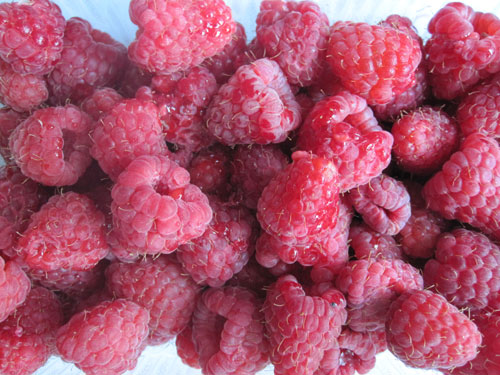 fresh raspberries before juicing