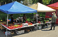 farmers-market