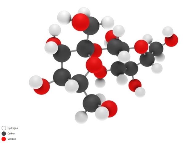 Inulin molecule