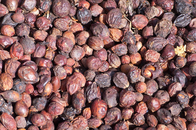 Argan seeds