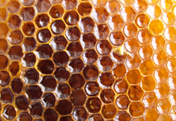 raw honey