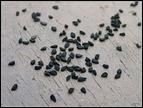 black-seeds