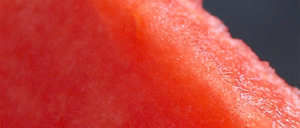 watermelon-2
