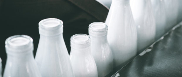 milk2